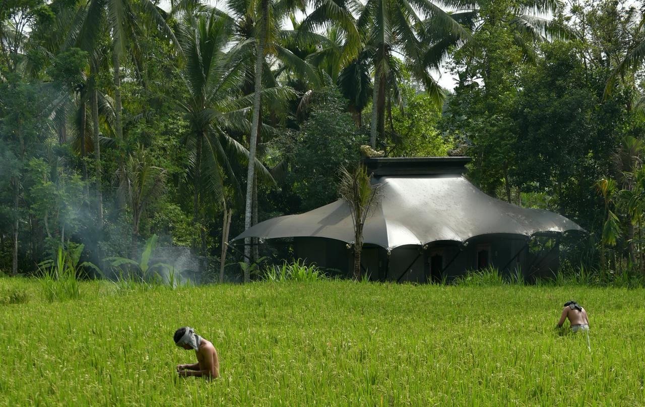 Capella Ubud, Bali Exterior foto